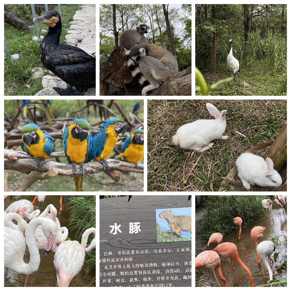 厚積薄發(fā)，蓄力前行：大手牽小手，共圓實佳夢